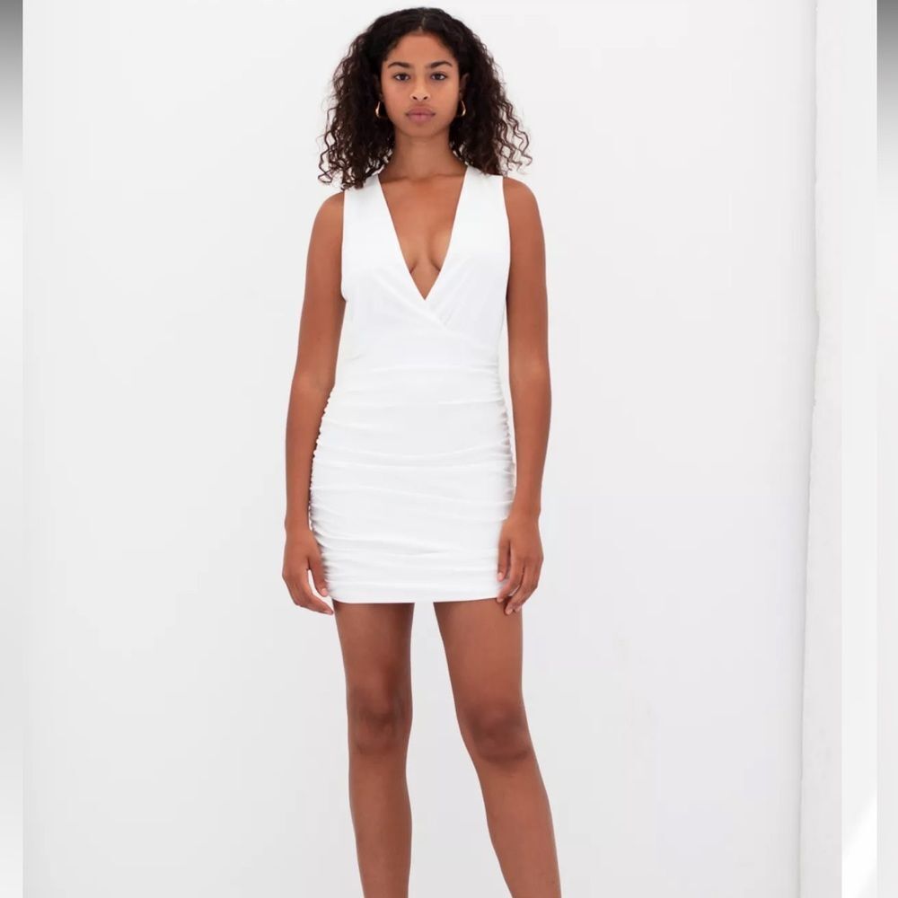 Aritzia Babaton Viva Dress